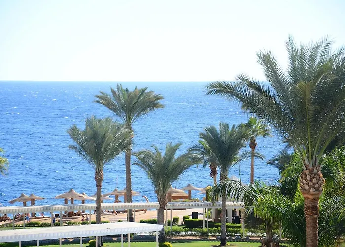 Royal Monte-carlo & (adults Only)